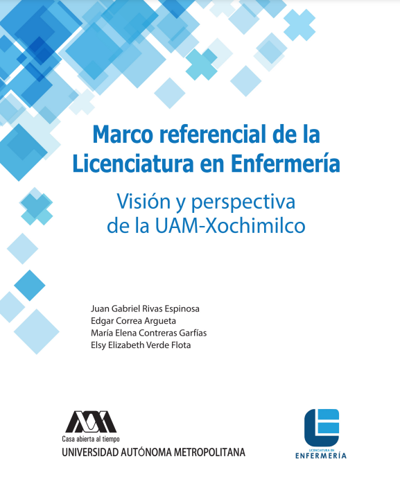 Marco referencial de la Licenciatura en Enfermería, Visión y perspectiva de la UAM-Xochimilco